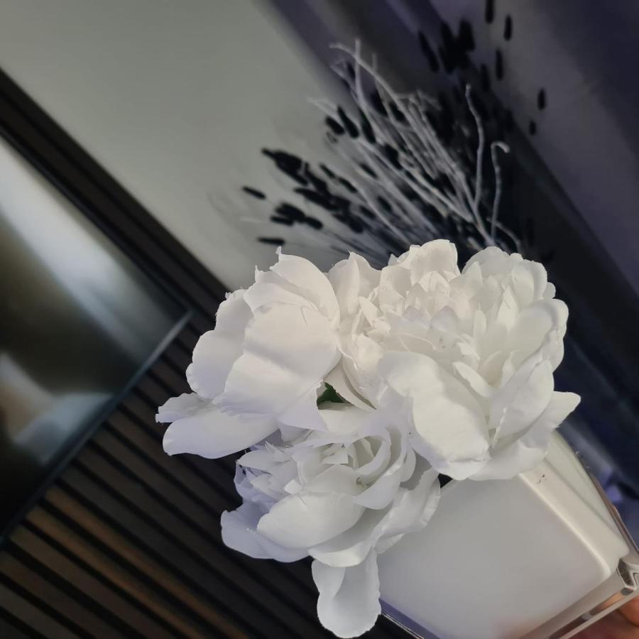 Luxury 9Ine Penthouse With Garden & Jacuzzi Apartment เบอร์มิงแฮม ภายนอก รูปภาพ